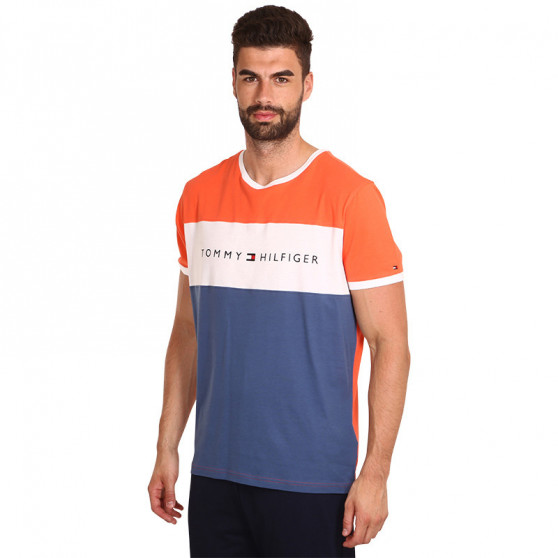 Pánske tričko Tommy Hilfiger viacfarebné (UM0UM01170 XMV)