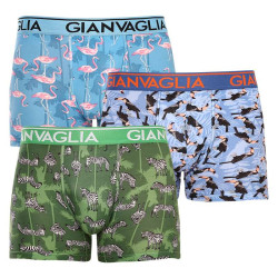 3PACK pánske boxerky Gianvaglia viacfarebné (GVG-5501)