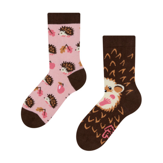 Veselé detské ponožky Dedoles Ježko (GMKS096)