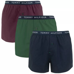 3PACK pánske trenky Tommy Hilfiger viacfarebné (UM0UM02327 0UJ)