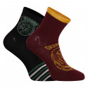 2PACK detské ponožky E plus M Harry Potter viacfarebné (52 34 353)