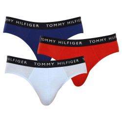 3PACK pánske slipy Tommy Hilfiger viacfarebné (UM0UM02206 0SJ)