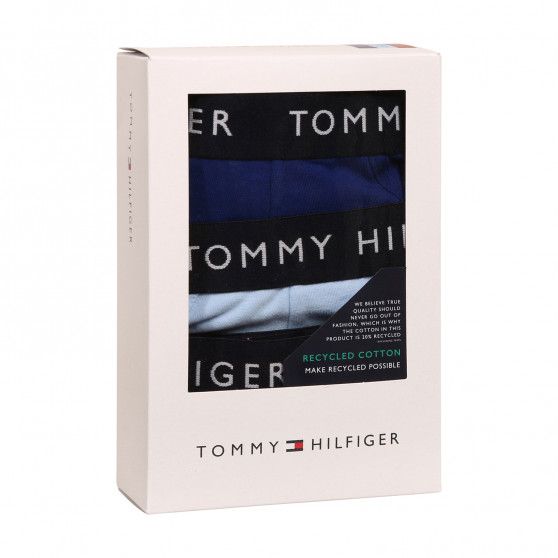3PACK pánske slipy Tommy Hilfiger viacfarebné (UM0UM02206 0SJ)