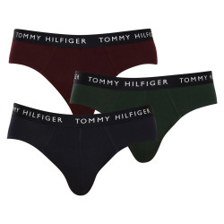 3PACK pánske slipy Tommy Hilfiger viacfarebné (UM0UM02206 0UJ)