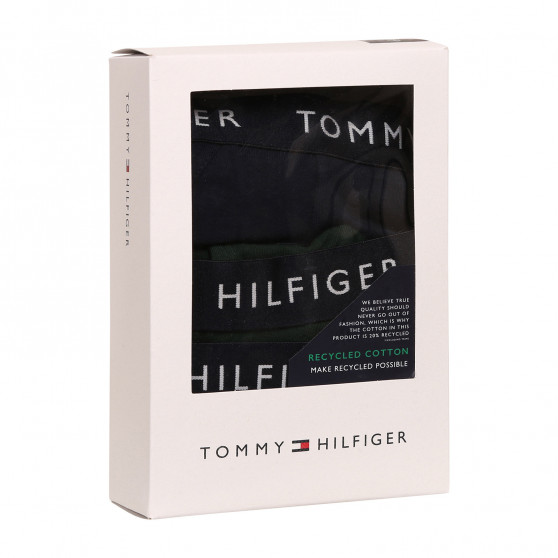 3PACK pánske slipy Tommy Hilfiger viacfarebné (UM0UM02206 0UJ)