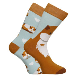 Veselé ponožky Dedoles Morske prasiatko (GMRS137)