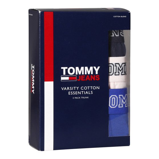 3PACK pánske boxerky Tommy Hilfiger viacfarebné (UM0UM02850 0T8)