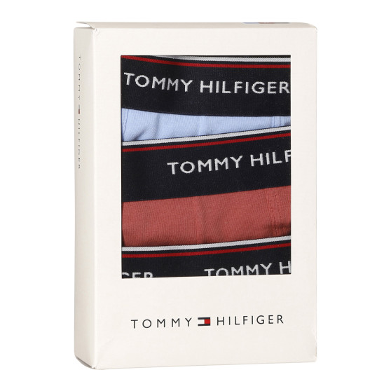 3PACK pánske boxerky Tommy Hilfiger viacfarebné (1U87903842 0Y4)
