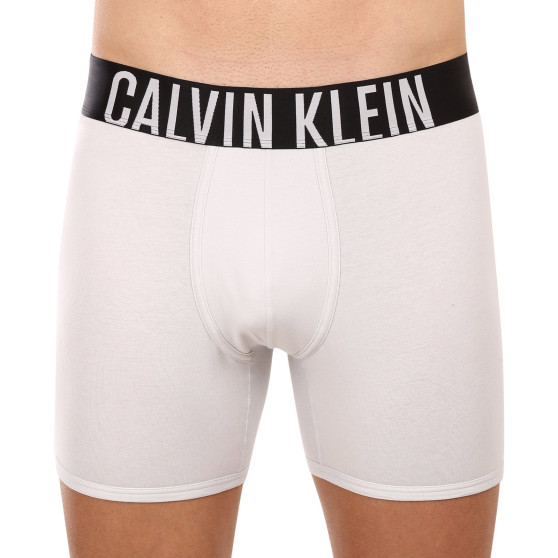 2PACK pánske boxerky Calvin Klein viacfarebné (NB2603A-C2D)