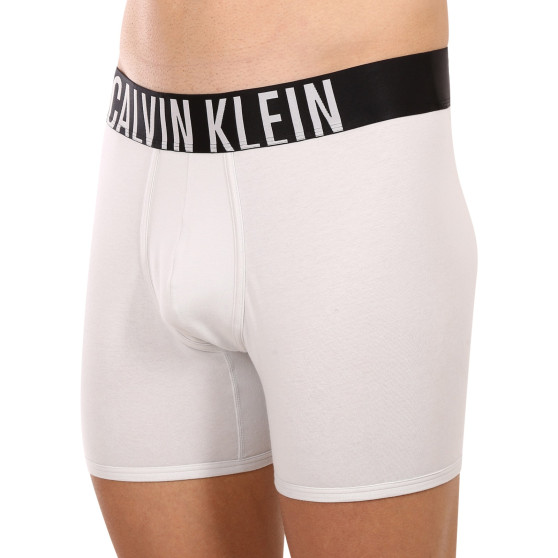 2PACK pánske boxerky Calvin Klein viacfarebné (NB2603A-C2D)