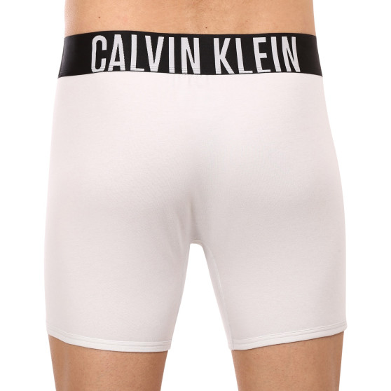 2PACK pánske boxerky Calvin Klein viacfarebné (NB2603A-C2D)