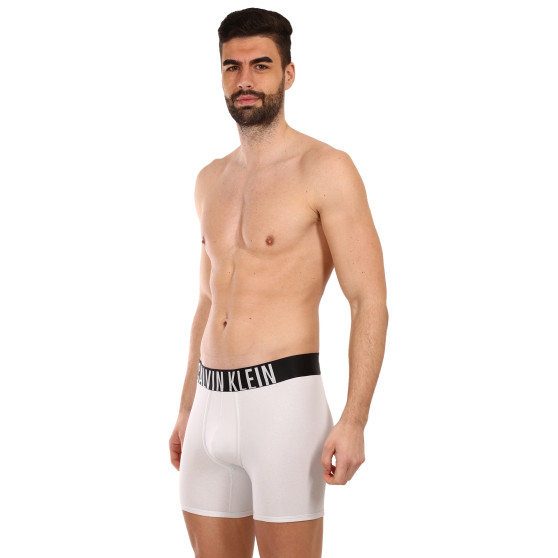 2PACK pánske boxerky Calvin Klein viacfarebné (NB2603A-C2D)