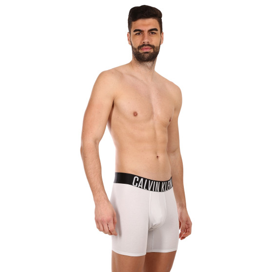 2PACK pánske boxerky Calvin Klein viacfarebné (NB2603A-C2D)