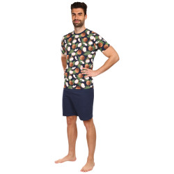 Pánske pyžamo Cornette viacfarebné (323/144)