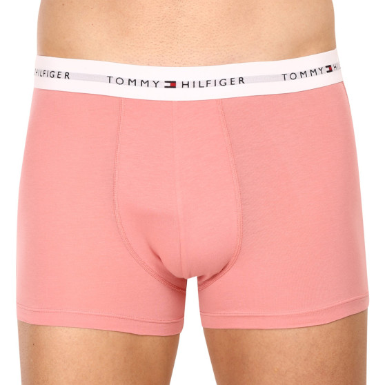 3PACK pánske boxerky Tommy Hilfiger viacfarebné (UM0UM02761 0R4)