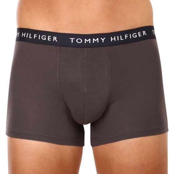 3PACK pánske boxerky Tommy Hilfiger viacfarebné (UM0UM02203 0XX)