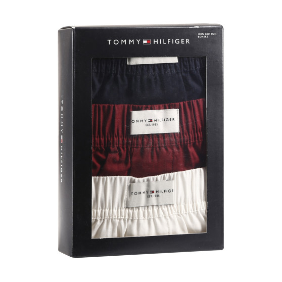 3PACK pánske trenky Tommy Hilfiger viacfarebné (UM0UM02848 0XU)