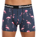 Pánske boxerky Horsefeathers Sidney Flamingos (AM164M)