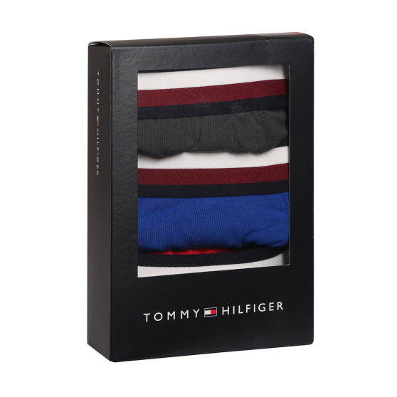 3PACK pánske boxerky Tommy Hilfiger viacfarebné (UM0UM03035 0UG)