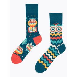 Veselé ponožky Dedoles Múdrá sova (GMRS235)