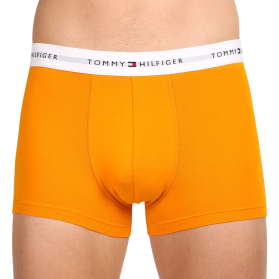 3PACK pánske boxerky Tommy Hilfiger viacfarebné (UM0UM02761 0XR)
