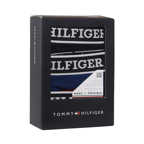 3PACK pánske boxerky Tommy Hilfiger viacfarebné (UM0UM03185 0SX)