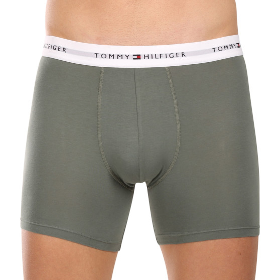3PACK pánske boxerky Tommy Hilfiger viacfarebné (UM0UM02941 0XY)