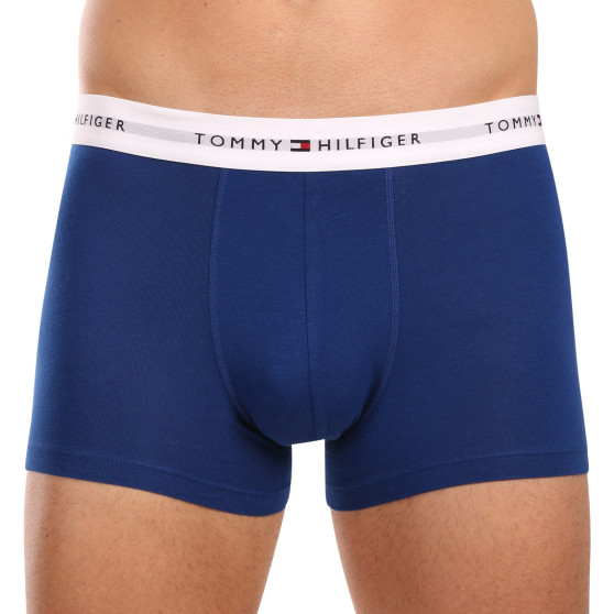 3PACK pánske boxerky Tommy Hilfiger viacfarebné (UM0UM02761 0XZ)