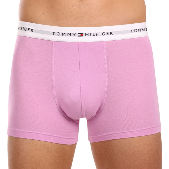 3PACK pánske boxerky Tommy Hilfiger viacfarebné (UM0UM02761 0VI)