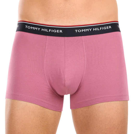 3PACK pánske boxerky Tommy Hilfiger viacfarebné (1U87903842 0XV)