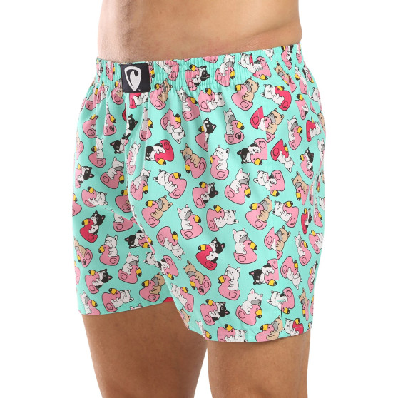 Pánske trenky Represent exclusive Ali Bulldog Bathing (R4M-BOX-0611)