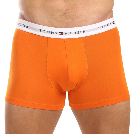 3PACK pánske boxerky Tommy Hilfiger viacfarebné (UM0UM02761 0VH)