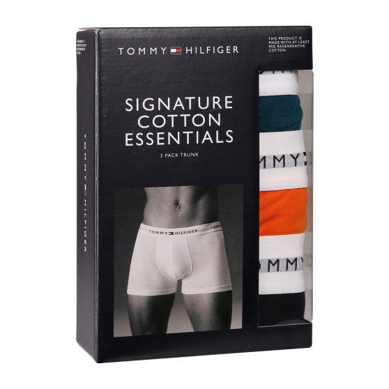 3PACK pánske boxerky Tommy Hilfiger viacfarebné (UM0UM02761 0VH)