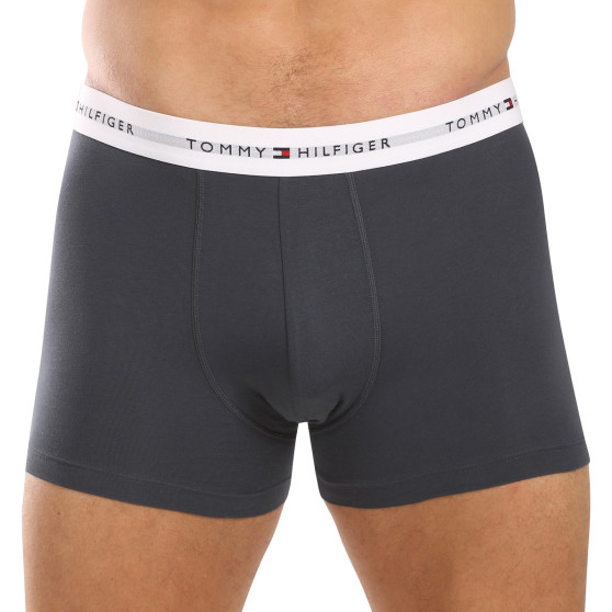 3PACK pánske boxerky Tommy Hilfiger viacfarebné (UM0UM02768 0UG)