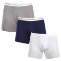 3PACK pánske boxerky Calvin Klein viacfarebné (NB3954A-PS9)