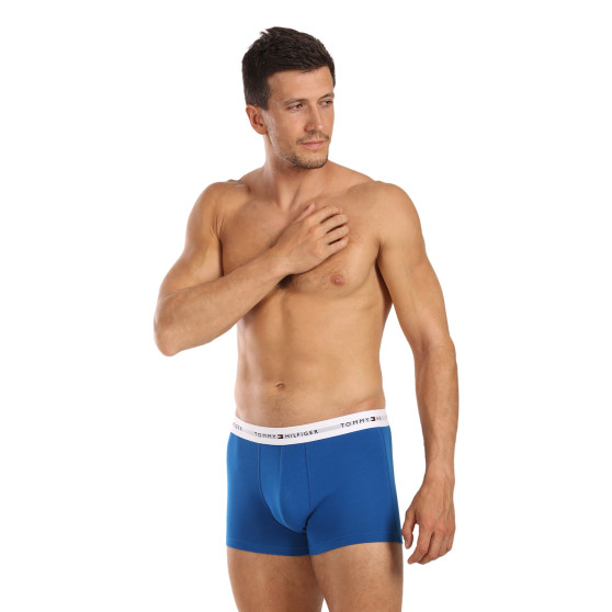 3PACK pánske boxerky Tommy Hilfiger viacfarebné (UM0UM02761 0UE)