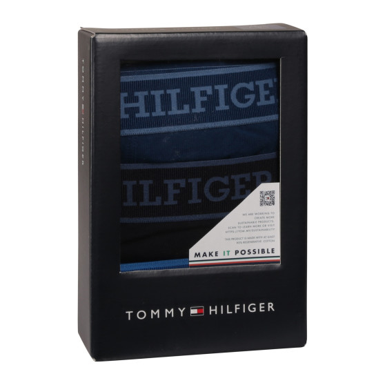 3PACK pánske boxerky Tommy Hilfiger viacfarebné (UM0UM03413 0XW)