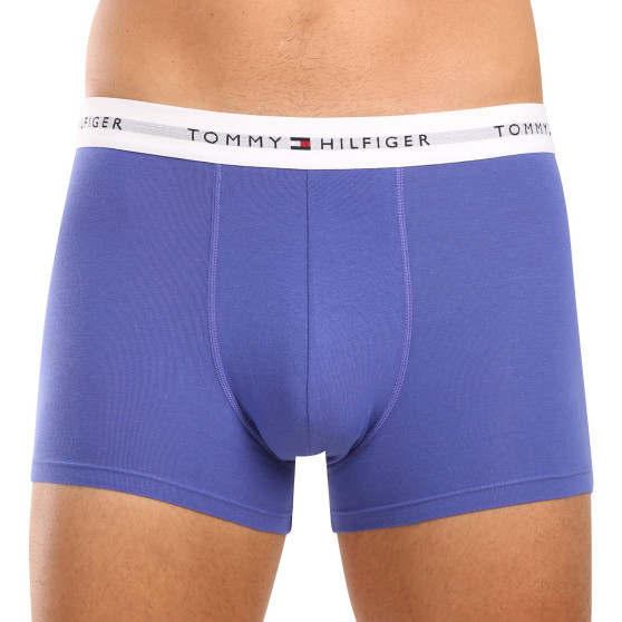 3PACK pánske boxerky Tommy Hilfiger viacfarebné (UM0UM02761 0UI)