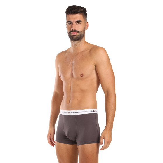 3PACK pánske boxerky Tommy Hilfiger viacfarebné (UM0UM02761 0UI)