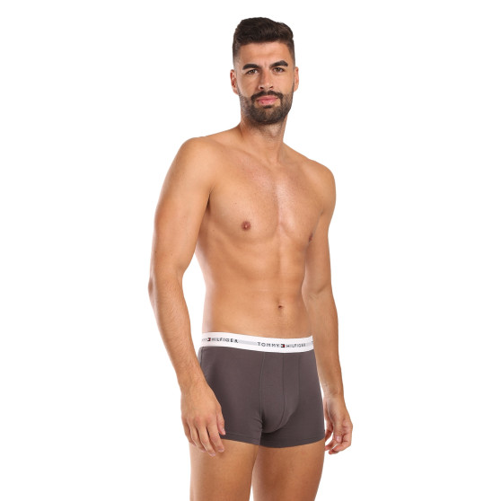 3PACK pánske boxerky Tommy Hilfiger viacfarebné (UM0UM02761 0UI)