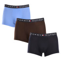 3PACK pánske boxerky Tommy Hilfiger viacfarebné (UM0UM03180 0X0)