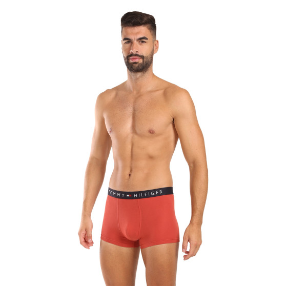 3PACK pánske boxerky Tommy Hilfiger viacfarebné (UM0UM03180 0RW)